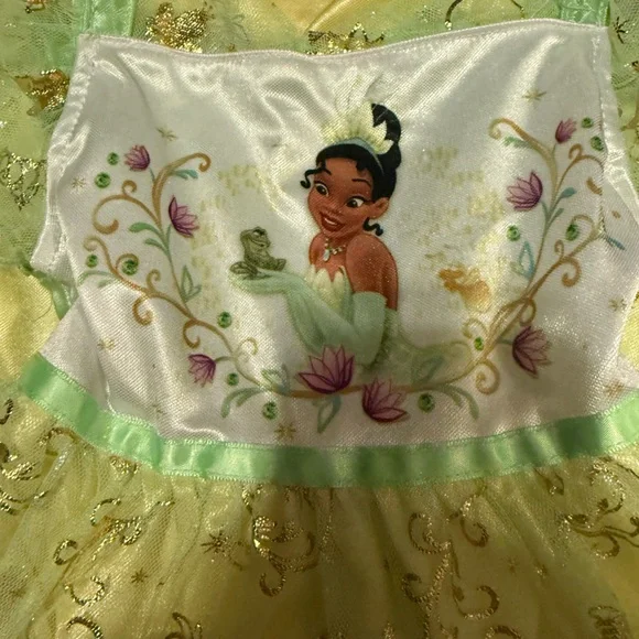 Disney Princess Tiana Green and Yellow Costume - Picture 4 of 4